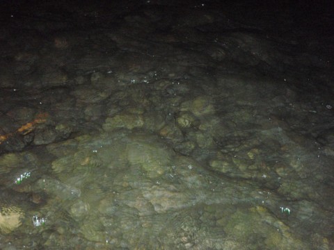 js7t5kjvgzfor5zwg36y_480_480-107ac88a.jpg