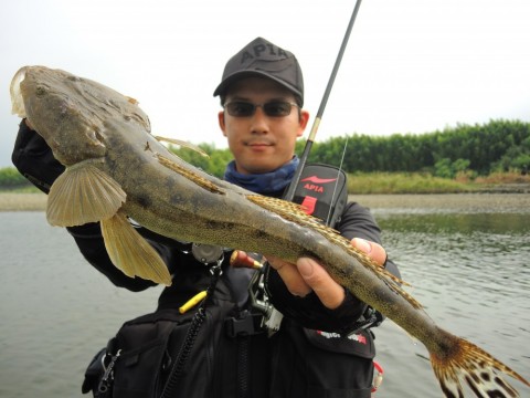 js84ynkgdse74cm3nfvu_480_480-091afcef.jpg
