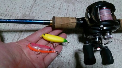 jsfdbiyheeg9jku8ag2k_920_517-a8df030d.jpg