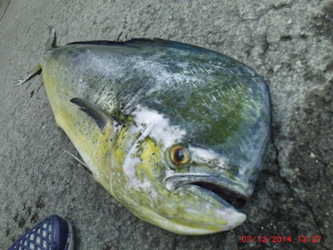 jsiy9xi2yb4vp3t57ygu_920_690-c096b8d4.jpg