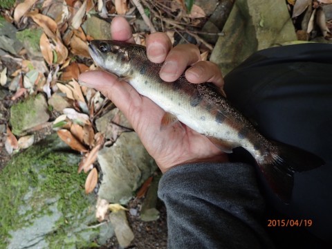 jsyrxz6j427jc2ucotkj_920_690-96aab78e.jpg