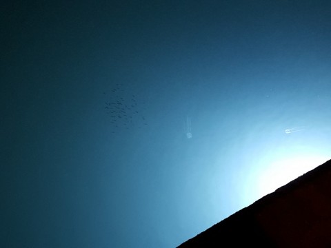 jtret63tohu3yxswtdjy_480_480-36366330.jpg