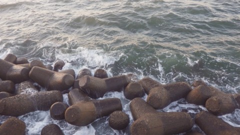 jttrds7a424on92kceuk_480_480-9b73c9d4.jpg