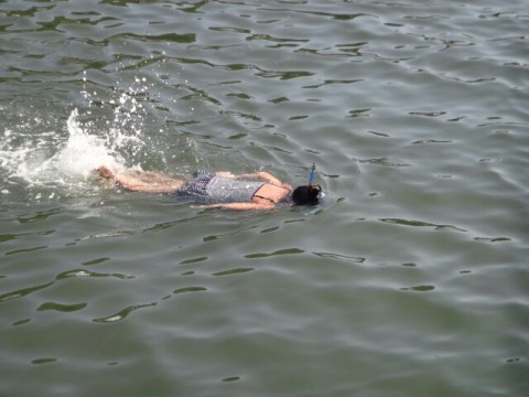 jtupjgco3o5fcez46btf_640_480-e7d00580.jpg