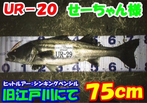 jtuppjmf95g9o9vj2vs7_920_643-2f244f3d.jpg