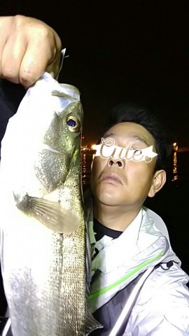 jtya56fxj5ygdjsimts8_517_920-c3bbf1d3.jpg