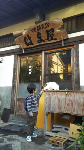 jumy97d7iru6udtmuuz6_518_920-283a03ae.jpg