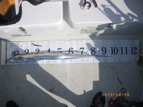 juzcukrcvyoesfgsapve_480_480-98f65352.jpg