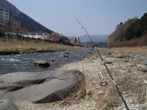 jvcv3xdnwanvfnifgs4m_480_480-f87f385a.jpg