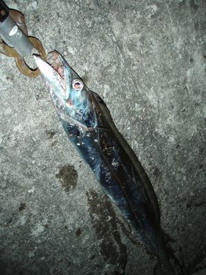 jvixriyyub6kcs6wowm8-31b0c769.jpg
