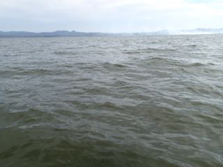 jw84i2fheh4d7owgxv9d-eb97d1c1.jpg
