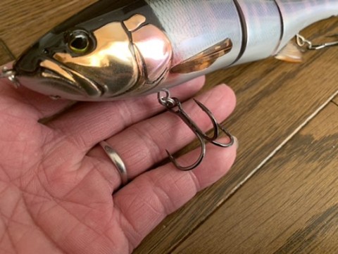 jwtzr4nap63mg9d2jvaf_480_361-05f2ff55.jpg