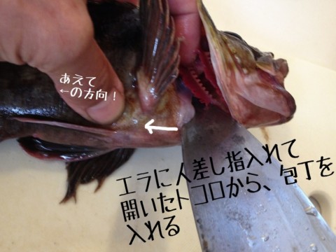 jwyrofpipv6zwfi9b2dx_920_690-2cd68bfb.jpg