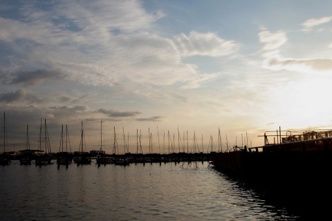 jx23y43rw9fwsdr865so_480_480-0a2ebb83.jpg