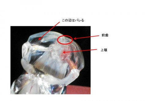 jx7x469j5b4okfcxezhj_920_637-a8dac139.jpg