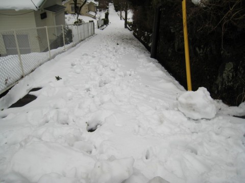 jx8pat4mhdkcdaanrgyh_480_480-a0324998.jpg