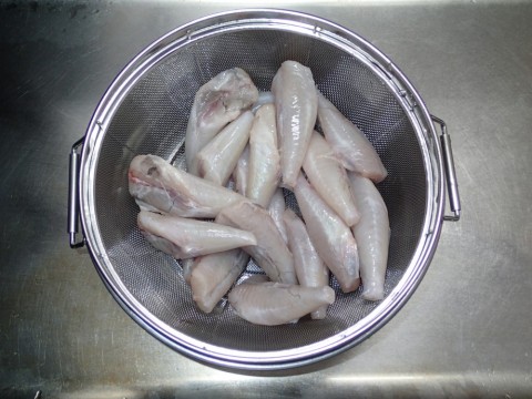 jx9hjg9ufdxfp55uhh7w_480_480-7f6ed222.jpg