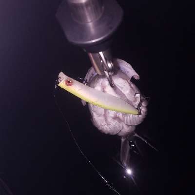 jxfc37349ivbgzkxx8eh-4a92cb21.jpg