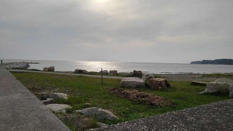 jxfh4krn4ijxvr2k3674_480_480-d9c01e51.jpg