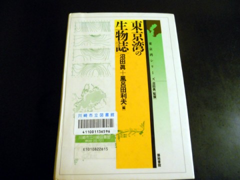 jxmyg528hvn86m7y8xsy_480_480-722928e7.jpg