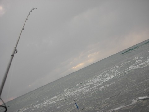 jxnhgy2zo2uz7di9raph_480_480-e7a71d9b.jpg