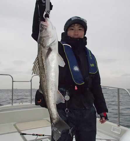 jxu3z8pbr5mtnkotree8-70c74a63.jpg
