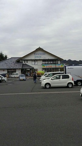 jxvanvg8vh4mb2mokgcr_518_920-46155e81.jpg