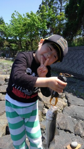 jy2wwbu6b9zxi3j7uoru_518_920-4f89f32e.jpg