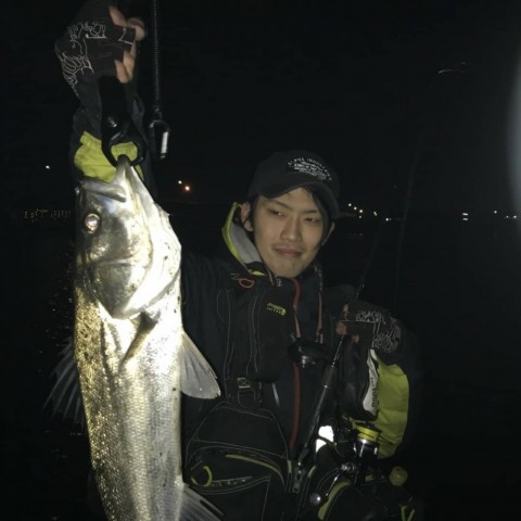 jy34uz33muikhijg5red_480_480-349709be.jpg
