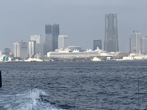 jy8frws3892xfshs68hp_480_361-11478786.jpg