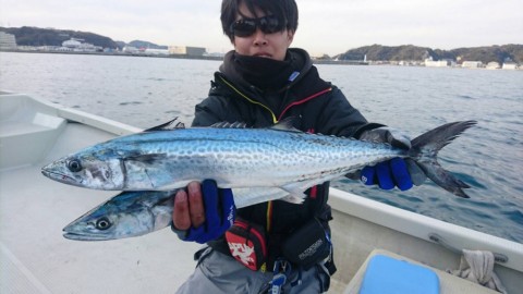 jyapvjmwggocc5cgku5v_480_480-aa99f761.jpg