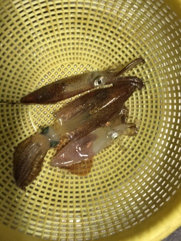 jybd7r6kub7iczmaurj7_690_920-18670d09.jpg