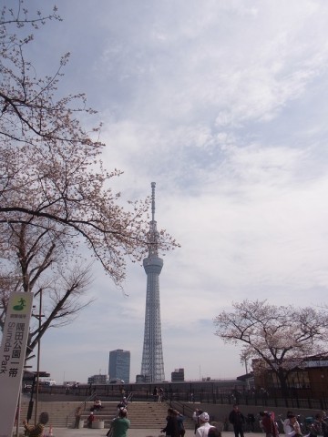 jyciszmpoervc3ihe8bp_480_480-c246ea08.jpg