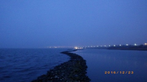 jyenorsreigyx4eo57ox_480_480-69315496.jpg