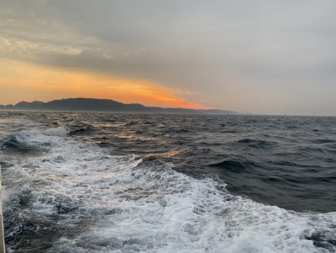 jykudecrfi5o7477opdz_480_361-4677c2b9.jpg