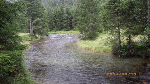 jymeyautmwejvvoazg6s_480_480-69d18af5.jpg