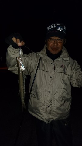 jys65o8xjphcrezp4d5t_480_480-868cae30.jpg