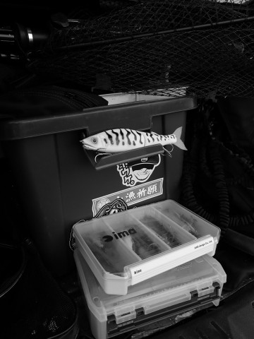 jyt5r8srrborrcbfgckw_480_480-26cded0f.jpg