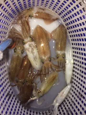 jyzmikkppn9md7hthnwg_690_920-3e513fed.jpg