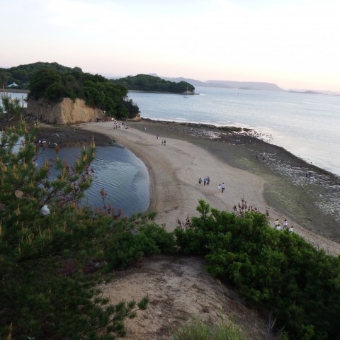 jzdyncg2rjygporuspt5_480_480-0ae42453.jpg