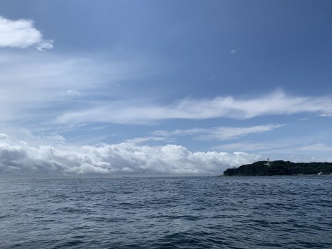 k26an68g2dhxvysdpwab_480_480-5c043360.jpg