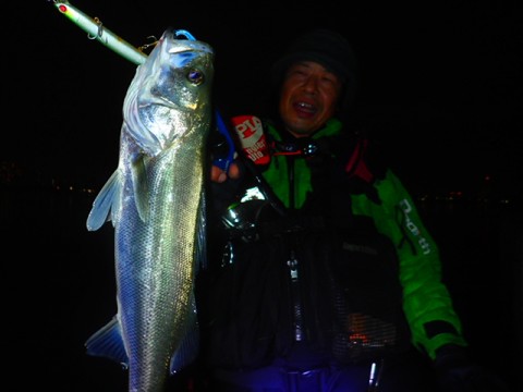 k2ew2w429zobhvw44zs9_480_480-2b47540d.jpg