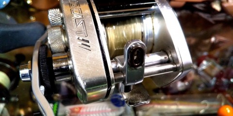 k2guz6ncobzvr5wnc5ck_480_480-556d7c08.jpg