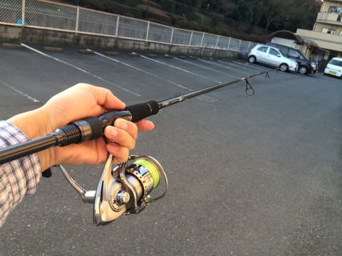 k2rcf44sgbd6re89ubo5_920_690-806df67c.jpg