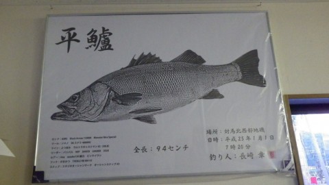 k2xkbek6o89p36ucm98i_480_480-0ef3bce5.jpg