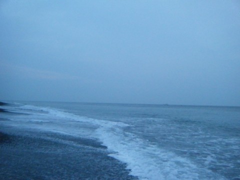 k2zxbhxvuuufu7da4h59_480_480-518f44ea.jpg