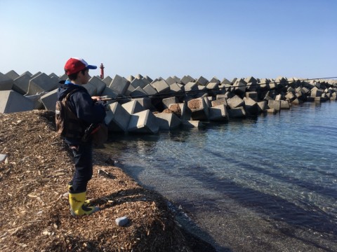 k32f9ziakaio5kvbk5tw_920_690-76ccc623.jpg
