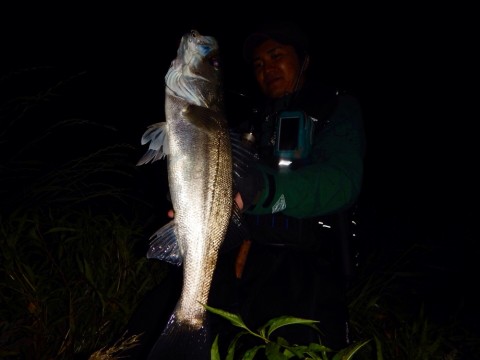 k32hd4jko6vdhw9hnsgi_920_690-39fc3a56.jpg