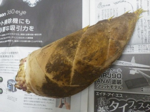 k34nz45yhet64fepiem8_480_480-87fb045d.jpg