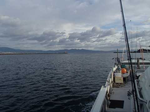 k3asbcvw6c9f7pn88tij_480_480-57763236.jpg